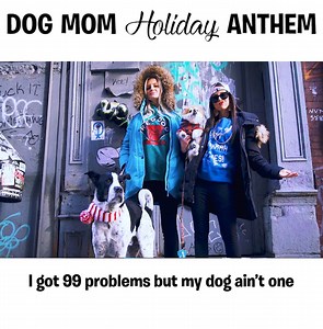 6.5M views · 3.6K reactions | There weren't enough Christmas songs about dogs, so we fixed it. Tag a dog mom who slays/sleighs. Why yes, you CAN download the song to blast at your holiday parties > ruv.me/dogmomholidayz | BarkBox | Facebook