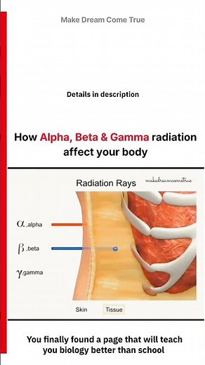 ☢️ How Alpha, Beta & Gamma ⚡ Radiation affect your body 🧬 | MDCT