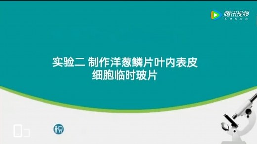 实验二：制作洋葱鳞片叶内表皮细胞临时玻片