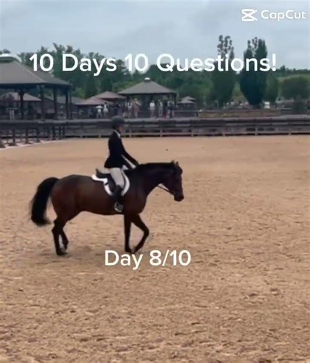 14 years!! (My whole life 😂) #equestrian #horse #trends #hunterjumper #viral #shorts #fyp