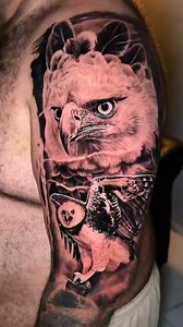 Harpy eagle, the largest eagle in the Americas. #asmr #tattoo | Vago Tattoo