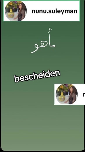 تعلم كلمات هولندية جديدة مع معانيها