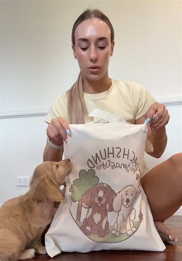 Mini Dachshund Puppies Ready for Adventure