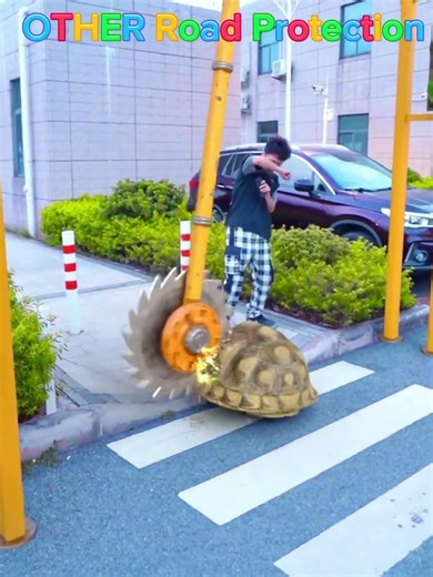 Others Roads Protection #foryou #respect #fypシ