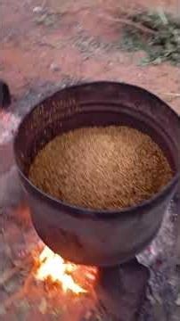 Whitening: Transforming Brown to White 05 #rice #paddyrice #agriculture