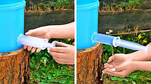 Useful garden hacks that actually work: | 5-Minute Crafts Teens