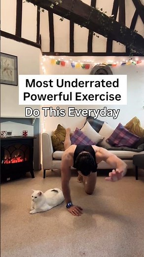 One Of The Most Underrated Powerful Exercises: Bird Dog!