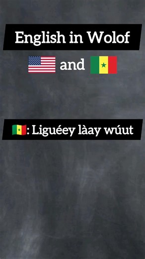English in Wolof 🇺🇸🇸🇳 #english #wolof #apprendreanglais #viralvideo #traduction