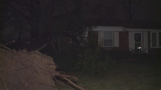 Trees fall on homes, cars in Bridgeton amid severe storms