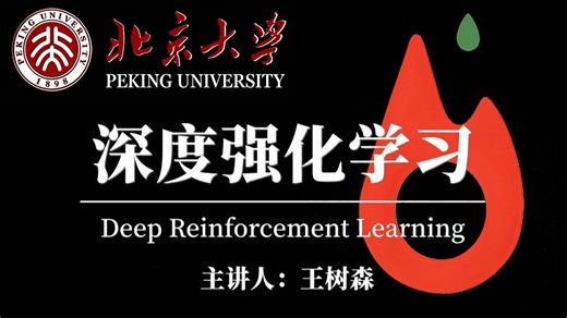 强推！【王树森强化学习】PyTorch 版！从 DQN/A2C 到 AlphaGo，保姆级讲解   可直接运行代码（机器学习 / 深度强化学习）