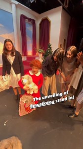 1.3K views | In a production of Annie at Landmark Musical Theater in San Francisco, the dog Sandy was played by Pup-fluencer Musik Dog! We thought it would be fun to create a Petsies "stunt double" version for Musik in case they needed it for any reason in the production! 藍 The cast loved seeing Musik's Petsies twin! Credit MusikDog on Instagram | Petsies | Facebook
