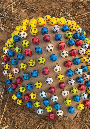 Smart Survival Skills for Single Moms in the Forest