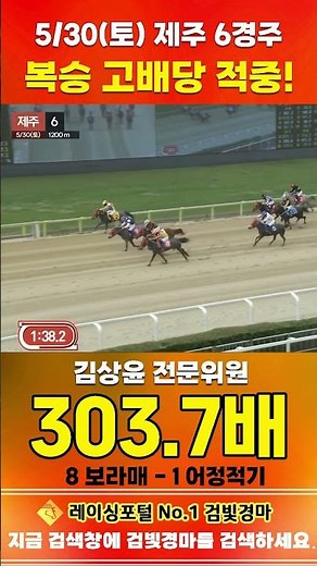 [Jeju Horse Racing] Saturday, May 30th, Race 6: Expert Committee Member Kim Sang-yoon Hits High-D...