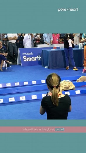 Tortoise vs. Hare! Who ya got?🐢🐰 | The Daily Heartbeat