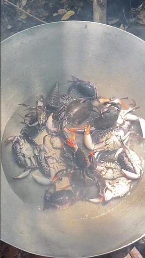 Ultimate Fresh Crab Boil Guide | Catch and Cook Seafood Perfection