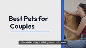 Best Pets For Couples