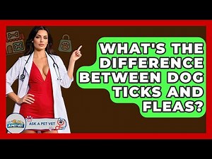 What's The Difference Between Dog Ticks And Fleas? - Ask A Pet Vet