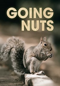 Going Nuts (2019)