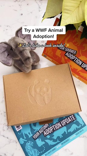 Peek inside our Elephant Adoption box! #LearnOnTikTok #Unboxing #WildlifeConservation #Elephants