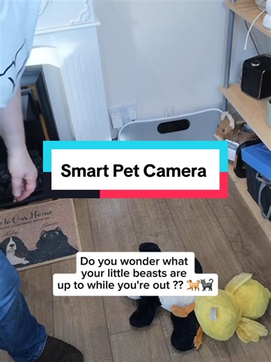 Monitor Your Pets with a Smart Pet Camera