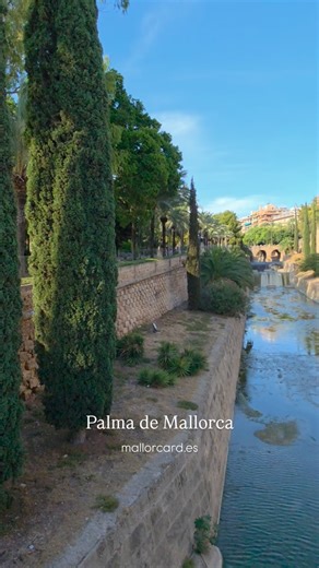 The streets of Palma de Mallorca feel magical this Sunday morning. The first light of November paints the old stone walls in soft gold as we walk through the quiet city. La Seu Cathedral rises above us, glowing in the sunlight, while the air carries the scent of the sea and fresh pastries from nearby cafés. Every corner feels alive yet peaceful, the city breathing slowly after the summer rush. We wander without a plan, just following the warmth of the sun and the charm of Palma’s timeless beauty