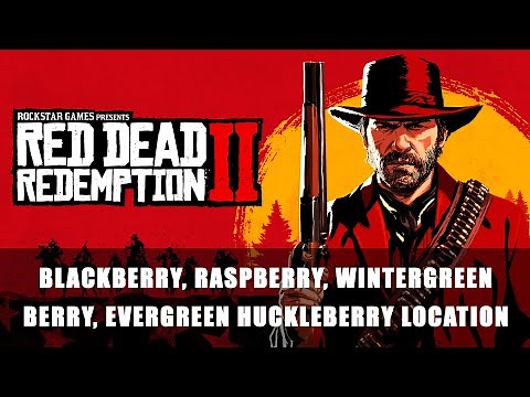 Red Dead Redemption 2: Blackberry, Raspberry, Wintergreen Berry, and Evergreen Huckleberry Location