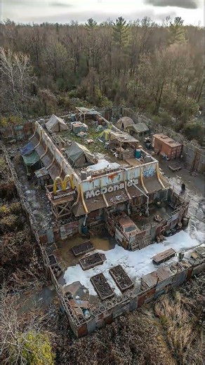 The McDonald’s Survival Fort! Total Fast Food Fortification