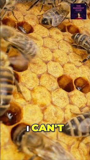 What Bees Can Teach Us About Leading Well | The Burnout Club