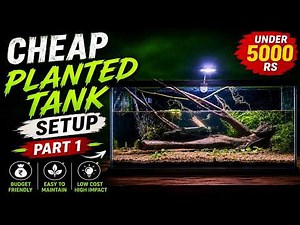 Budget Planted Aquarium Setup Part 1 | Complete Beginner's Guide