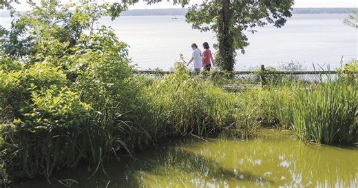 Leesylvania State Park to require reservations for summer weekends, holidays
