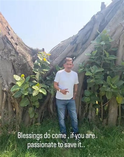 Baby Steps That Build Giants: Daniel D’Souza on Translocated Banyan Tree at Campal #Campal #Panaji #BanyanTree #TreeTranslocation #GreenGoa #UrbanConservation #DanielDSouza #BabyStepsBigImpact #EnvironmentFirst | Prudent Media