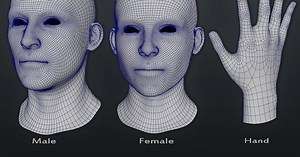 Free Human Base Models