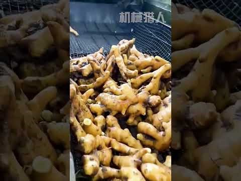 The Fascinating World of Machinery: Innovative Machines That Will Blow Your Mind