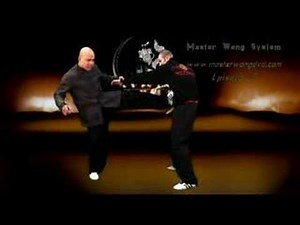 Wing Chun Training YouTube - With Master Wong EPS 12