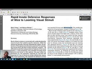 Creating Visual Stimuli in Python 0 - Getting Python