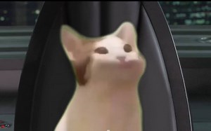 PopCat/ PoPo猫梗#2