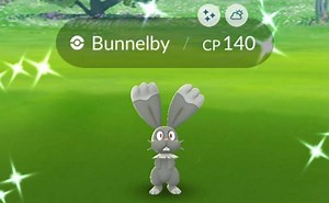 How to catch a shiny Bunnelby in Pokemon GO