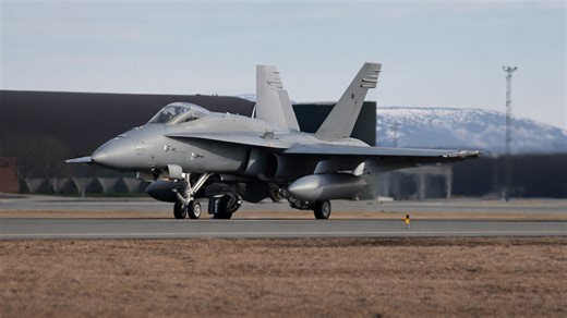 US and NATO fighter jets take off for combat training