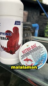 Powder vs Liquid Nitrifying Bacteria #fishkeepinghobby #aquariumhobby #fishkeepingtips #bitsnfishes | Bits n' Fishes