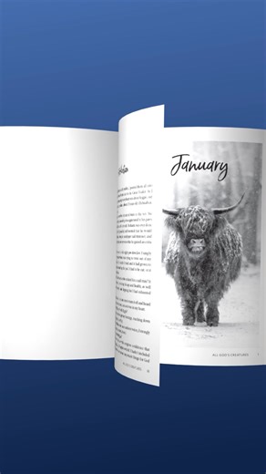 1.9K views · 26 reactions |  If animal stories lift your spirits, this devotional is your new morning ritual. Find daily comfort in uplifting creature moments, scripture, and prayer. Get your 2026 AGC devotional today: https://guideposts.org/shop/product/all-gods-creatures-daily-devotions-2026/?utm_source=facebook&utm_medium=social&utm_campaign=product_annual-agc___2025 #AGC2026 #AllGodsCreatures | Guideposts | Facebook