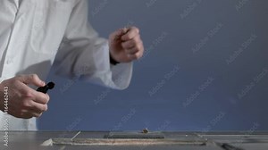 Thermal decomposition. Chemical experience of mercury thiocyanate. Chemical process. Chemical experience. Pharaoh's serpent