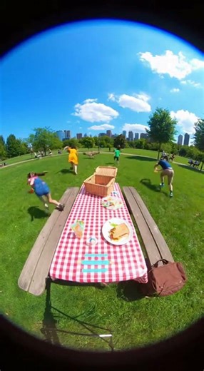 Goose Grabs Sandwich and Flees!