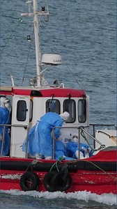 How a deadly hantavirus outbreak unfolded on a cruise ship for weeks before it was identified