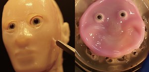 Robot face is made of living human skin (video)