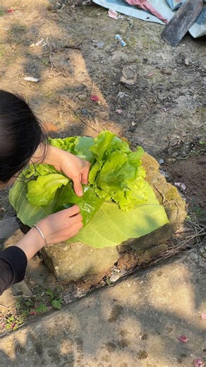 environmentally friendly ways to package vegetables