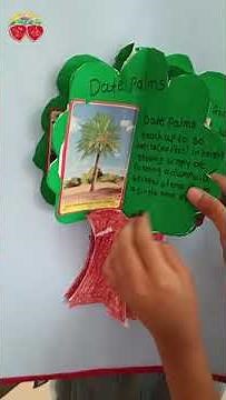 Adaptation In Plants | Science For Kids | CBSC | Activity