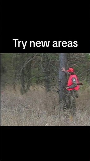 Roger Raglin Scouting Tips