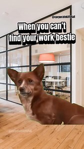 Tag your work bestie that you don’t want to work without. #workhumor #coworkers #officelife #workbestie #worklife | Corporate Kitty Kat