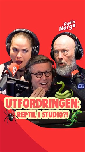 Håper ikke Kim "tilfeldigvis" er syk i morgen…🫢 Hadde du turt å gjennomføre utfordringen?🐊🐍🕷️ | Radio Norge