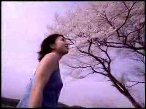 Bird (バード) - 桜 (Sakura)
